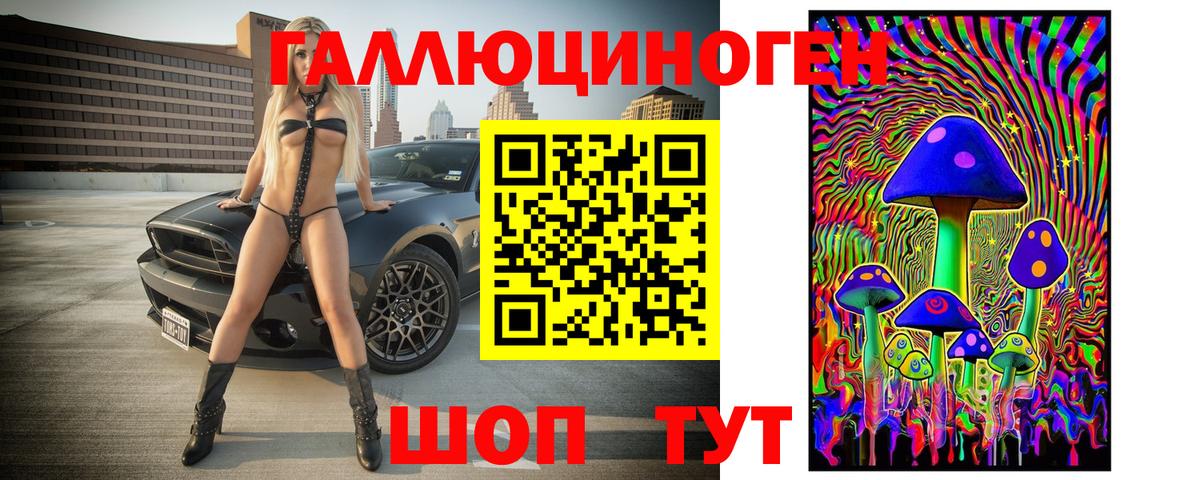 Кисловодск  Галлюциногенные грибы Psilocybine cubensis  Вход с VPN 