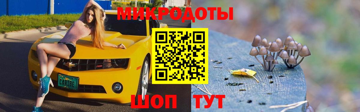 Псилоцибиновые грибы Cubensis Кисловодск